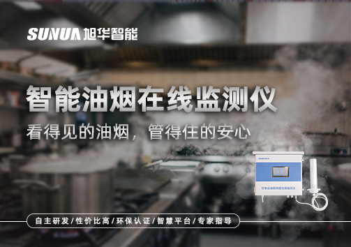 智能油烟在线监测仪：看得见的油烟，管得住的安心